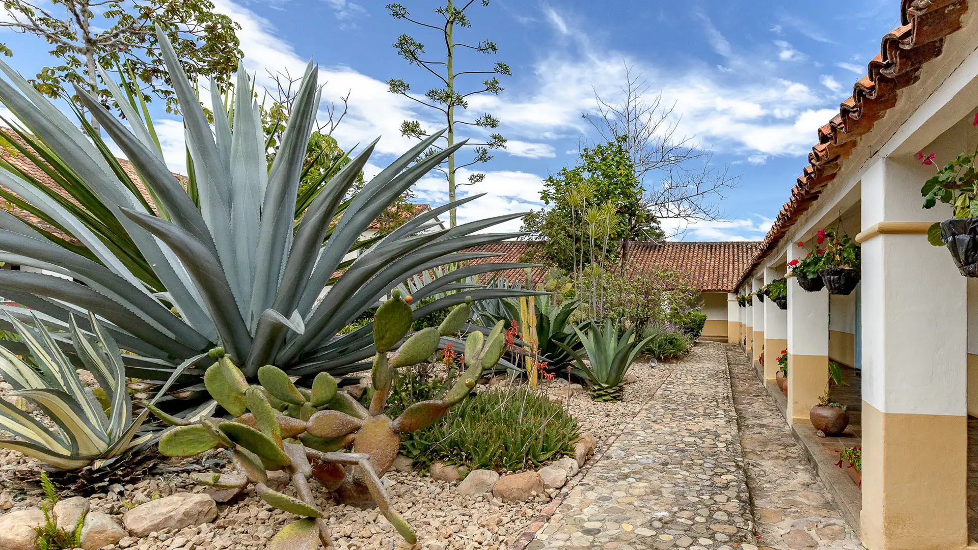 Sede en Villa de Leyva en la Fábrica de Licores 7